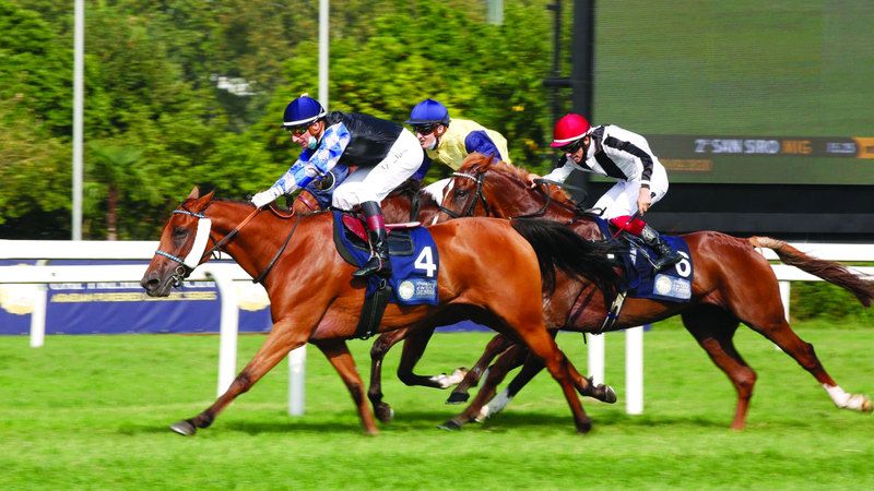 الامارات | 16 خيلاً تتنافس على كأس رئيس الدولة في روما