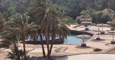 بروتوكول تعاون بين غرفة الفنادق و كلية السياحة بجامعة مدينة السادات