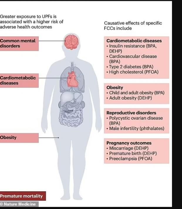 تحذير من حفظ الأطعمة في هذه العبوات البلاستيكية.. تسبب أمراضا خطيرة