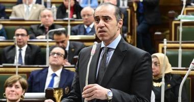 الحكومة: مجلس الشيوخ يطرح قضايا دقيقة تلبى احتياجات المجتمع