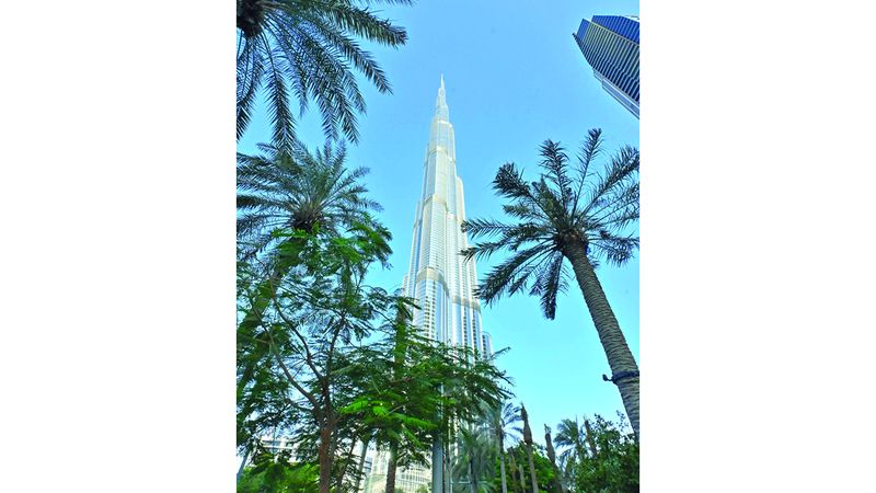 الامارات | قلب دبي النابض بالخضرة والجمال