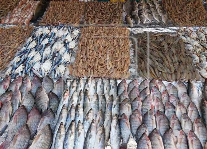 أسعار الأسماك في دمياط اليوم
