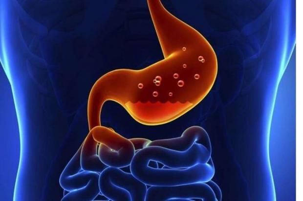 7 أطعمة صيفية تقلل عسر الهضم وتحافظ على صحة الجهاز الهضمي