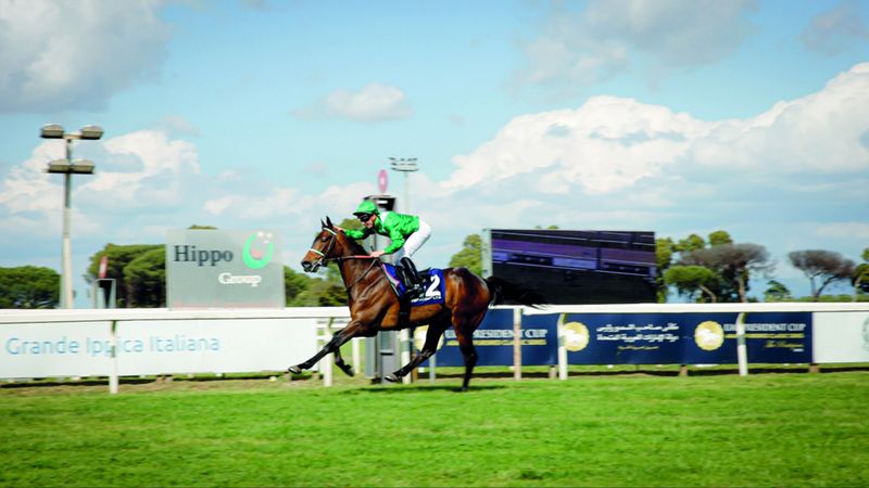 الامارات | «إتش إم الشاهين» يحلق بكأس رئيس الدولة للخيول العربية في إيطاليا