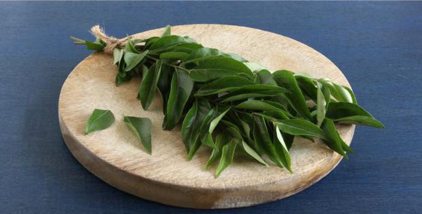 مضاد للالتهابات ومقوي للمناعة.. عشبة سحرية تحسن صحة جهاز الهضمي