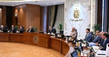 مجلس الوزراء يوافق على استحداث آلية تمويل دراسة وتنفيذ مشروعات بدول حوض النيل