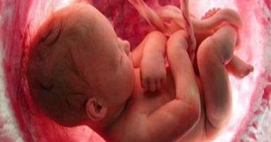 برمجة الجنين.. كيف تتشكل صحة الإنسان بداية من وجوده فى الرحم