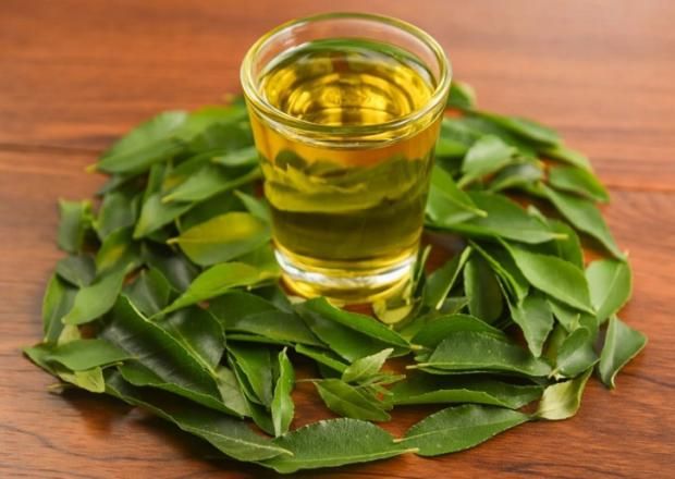 مضاد للالتهابات ومقوي للمناعة.. عشبة سحرية تحسن صحة جهاز الهضمي