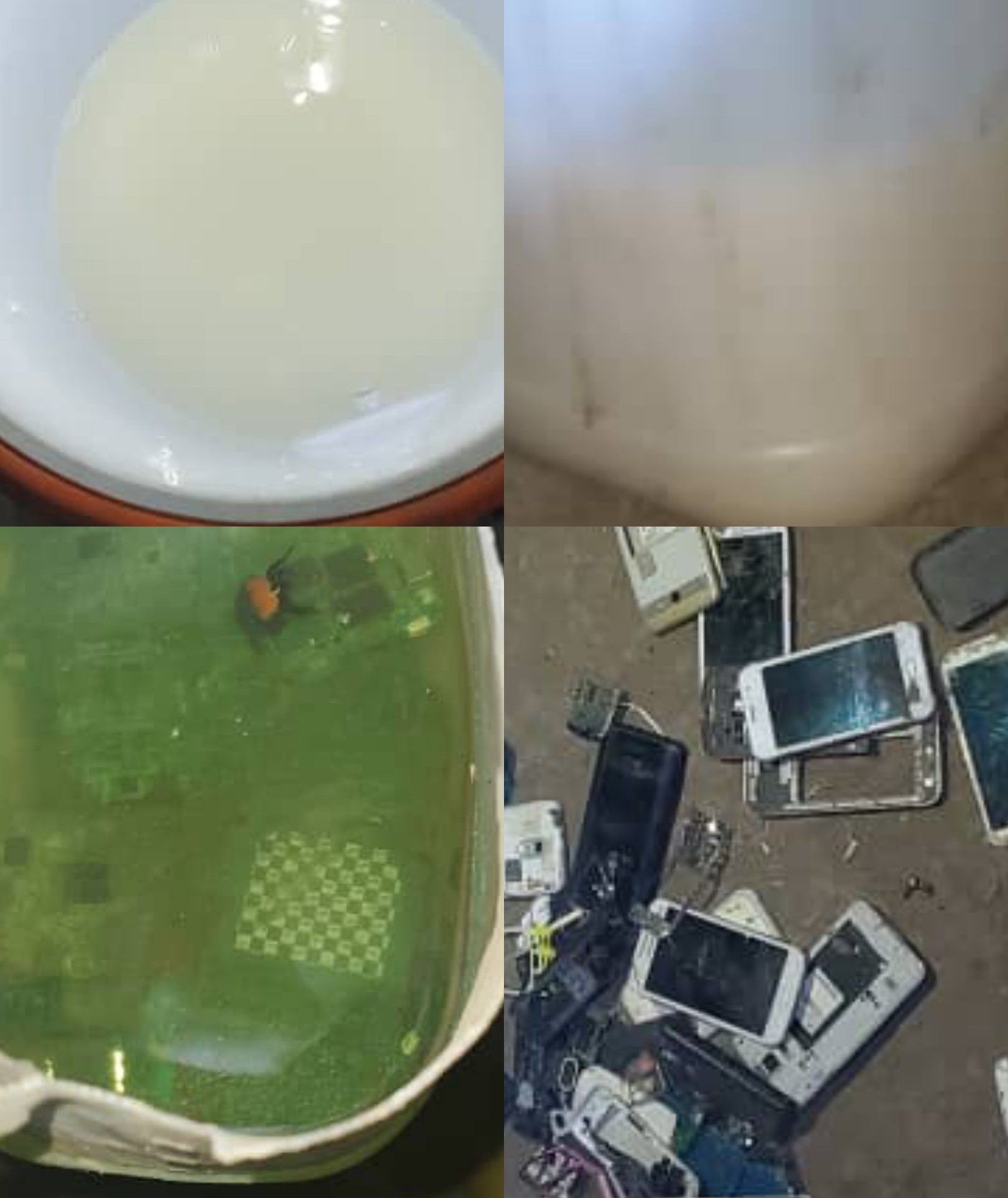 شرطة تعز تضبط معملاً لتصنيع الخمور وتلقي القبض على أحد المتورطين