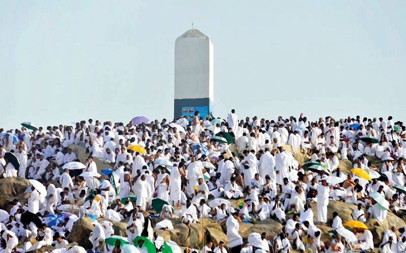 الامارات | الإمارات... إجراءات وتدابير متكاملة لخدمة حجاج الدولة