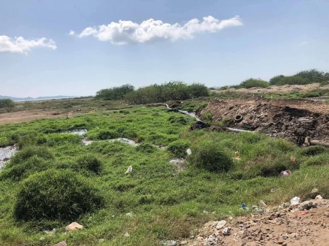 الكشف عن مستعمرات خطيرة تهدد حياة السكان في عدن