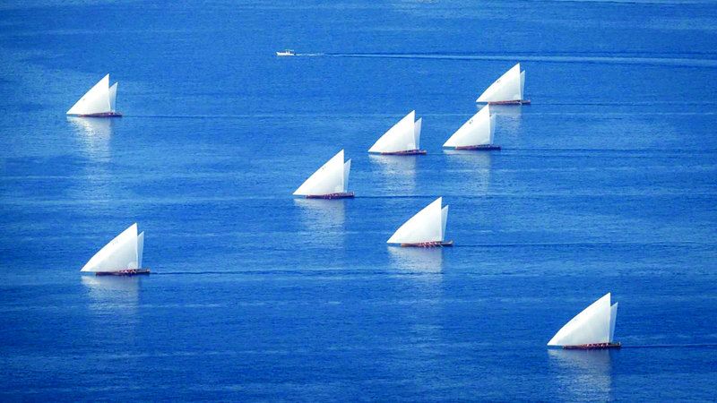 الامارات | «مهرجان دلما».. كرنفال يحتفي بذاكرة أهل البحر