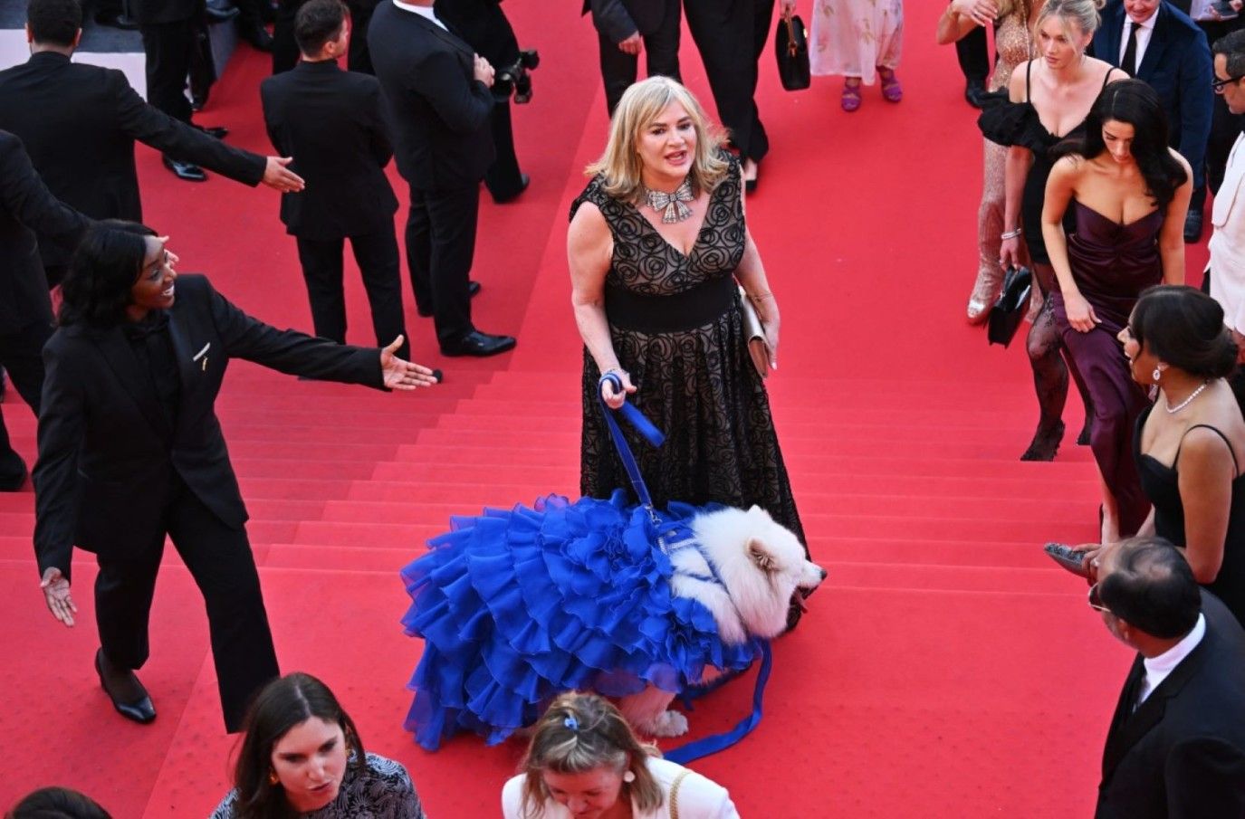 نجوم ليسوا بأشخاص خطفوا الأنظار في مهرجان كان السينمائي