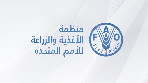 «فاو»: أقل من 5 % من الأراضي الزراعية في قطاع غزة لا تزال متاحة للزراعة