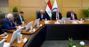 "طاقة الشيوخ": تعديل قانون الثروة المعدنية علامة فى دعم الاستثمار التعديني