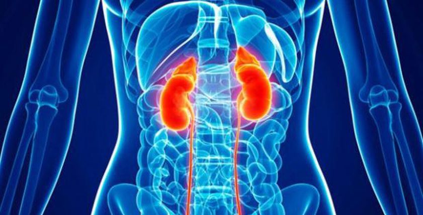 7 علامات تكشف الفشل الكلوي المتأخر.. اذهب للطبيب فورا