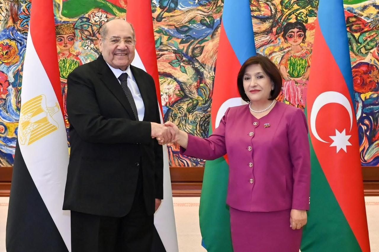 رئيس مجلس الشيوخ يؤكد لرئيسة المجلس الوطني تقدير مصر لموقف أذربيجان المساند لفلسطين