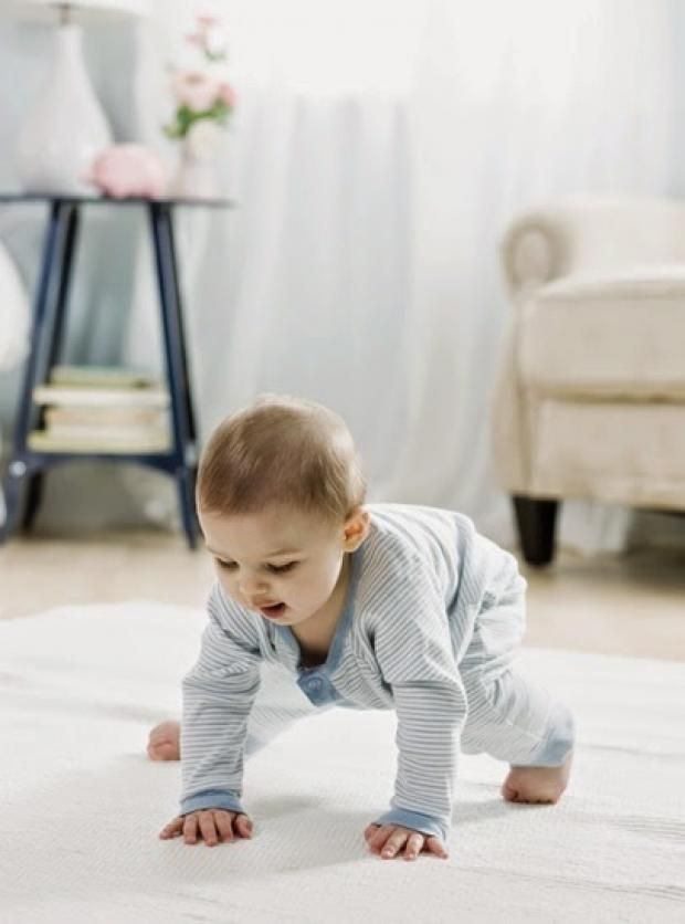 ماذا يأكل طفلك بعد 28 شهرا من ولادته؟