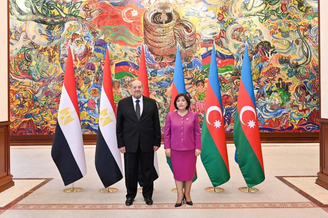 رئيس مجلس الشيوخ يؤكد لرئيسة المجلس الوطني تقدير مصر لموقف أذربيجان المساند لفلسطين