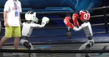 تكنولوجيا: ملاكمة الروبوتات .. روبوت صينى يسحق منافسه فى الحلبة بلكمات قوية "فيديو"