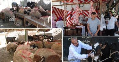 أخبار مصر.. غرامات تصل إلى 10 آلاف جنيه عقوبة ذبح الأضاحى فى الشوارع