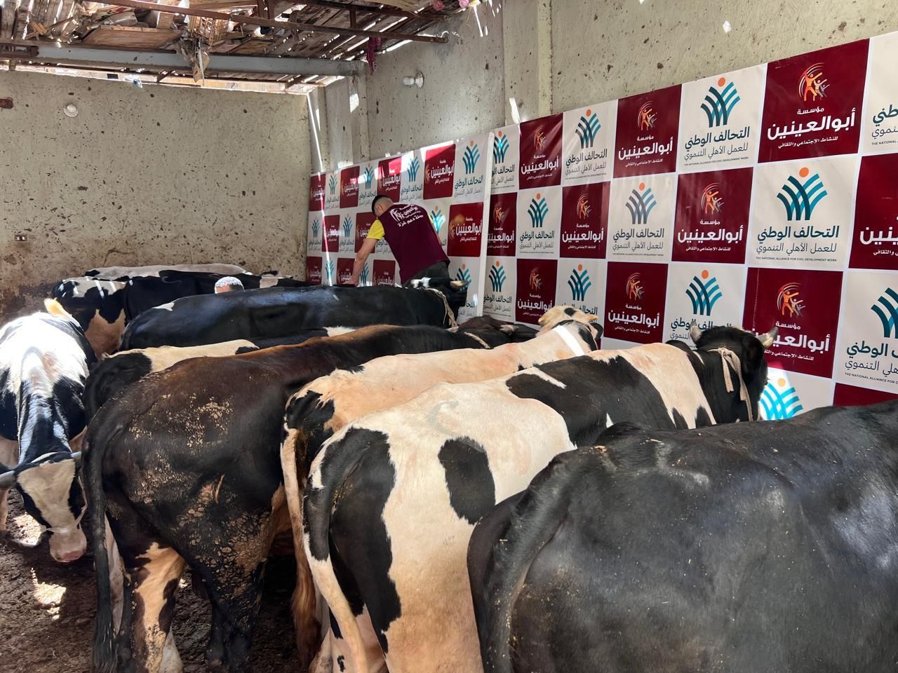 التحالف الوطنى يوزع 250 ألف كيلو من اللحوم البلدى فى جميع المحافظات