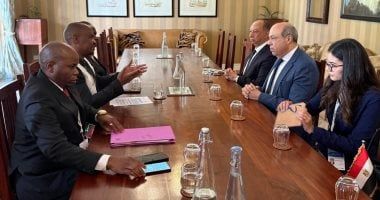 على هامش مشاركته بأسبوع الطيران.. الحفنى: مصر تلتزم بتعزيز التعاون الإقليمي في الصناعة