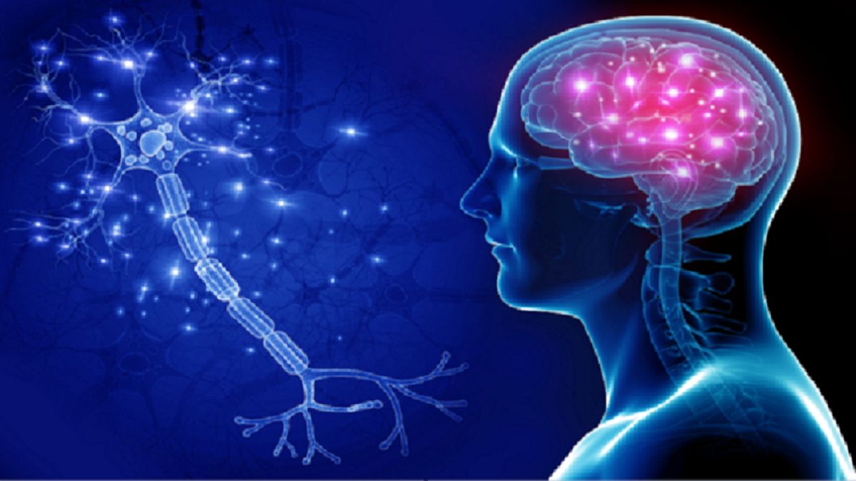 الامارات | يؤدي إلى انكماش حجم المخ وتدهور الذاكرة.. دراسة تحذر من الجلوس لفترات طويلة