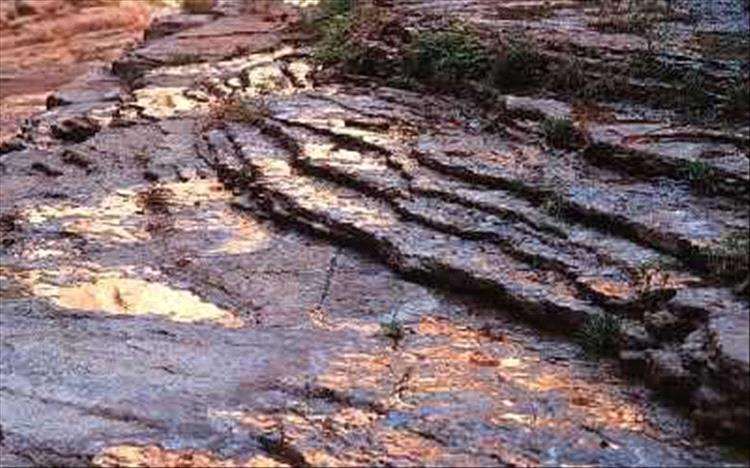 اكتشاف مناجم ذهب بهذه المناطق اليمنية