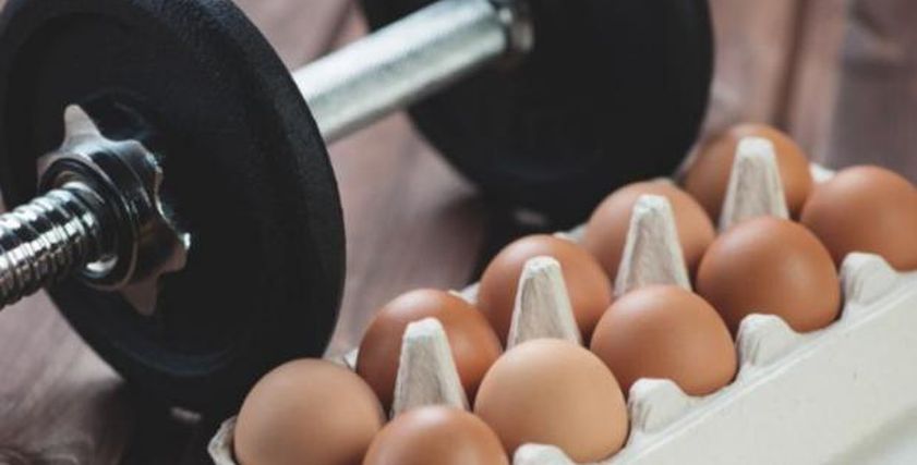 كم بيضة ينبغي أن يتناولها الرياضيون يوميا للحفاظ على صحتهم؟