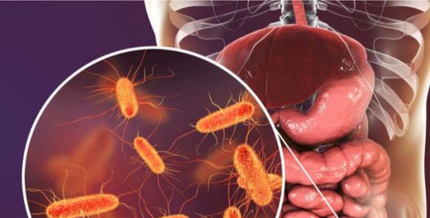 مكان غير متوقع في منزلك ينقل لك بكتيريا خطيرة.. كيف تحمي أسرتك؟