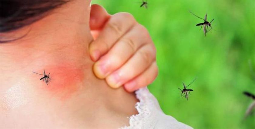 عاجل .. ألم المفاصل قد ينذر بإصابتك بفيروس خطير.. أعراض لا يجب تجاهلها