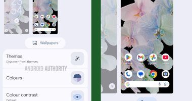 تكنولوجيا: ميزة جديدة تمكن مستخدمي هواتف بيكسل من الحصول عل سمات كاملة