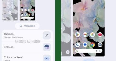 تكنولوجيا: ميزة جديدة تمكن مستخدمي هواتف بيكسل من الحصول على سمات كاملة