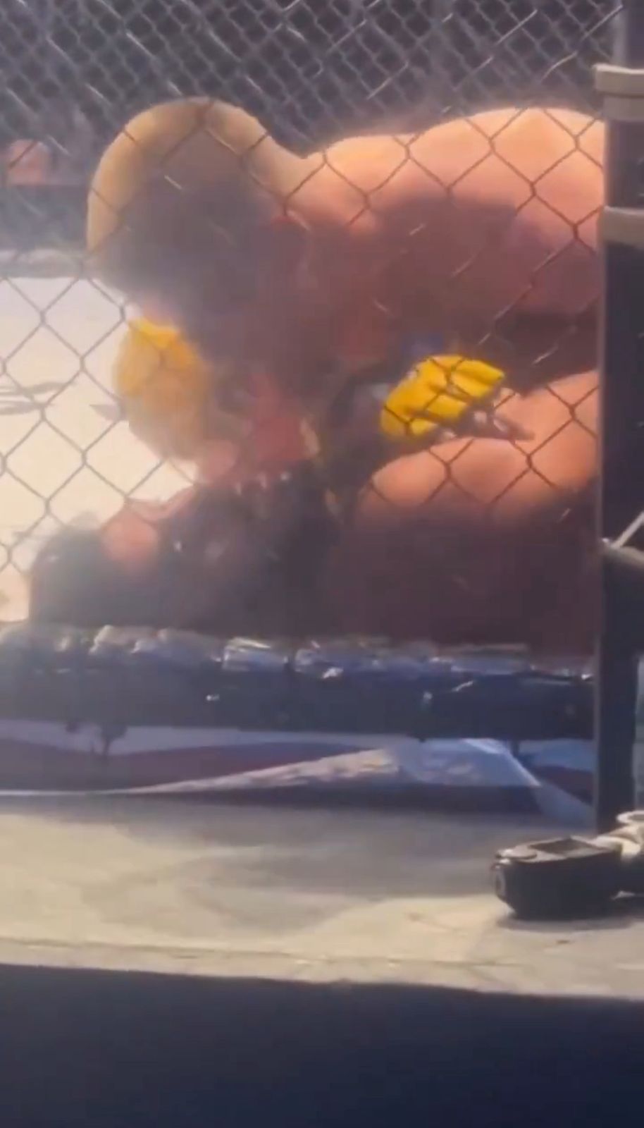 ملاكم أيرلندي يهزم إسرائيليا ويرفع علم فلسطين ويردد: فلسطين حرة.. فيديو