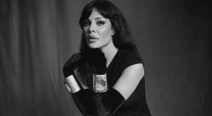 خسارة بآلاف الدولارات.. نادين نسيب نجيم تتعرض للسرقة