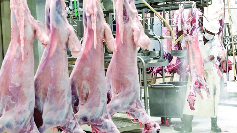 الامارات | "أبوظبي للزراعة والسلامة الغذائية" تطلق حملة توعوية لضمان ذبح الأضاحي بشكل آمن وصحي