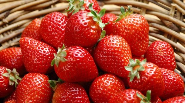 فاكهة صيفية تعزز الذاكرة وتحمي خلايا الدماغ من التلف.. تناولها يوميا