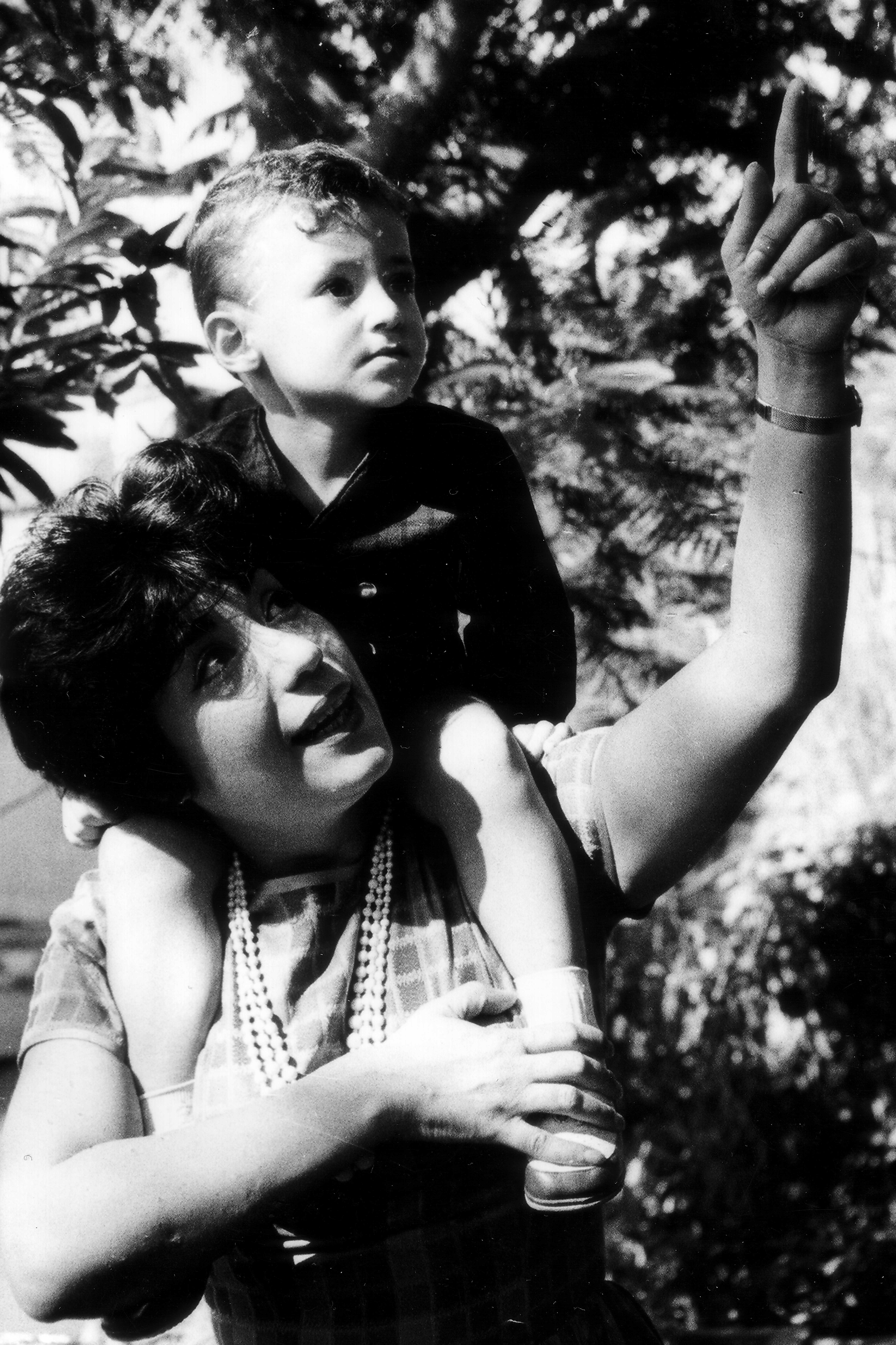 رشوان توفيق لـ الخليج 365: سميحة أيوب جارتى وعشرة عمرى ولا تعوض