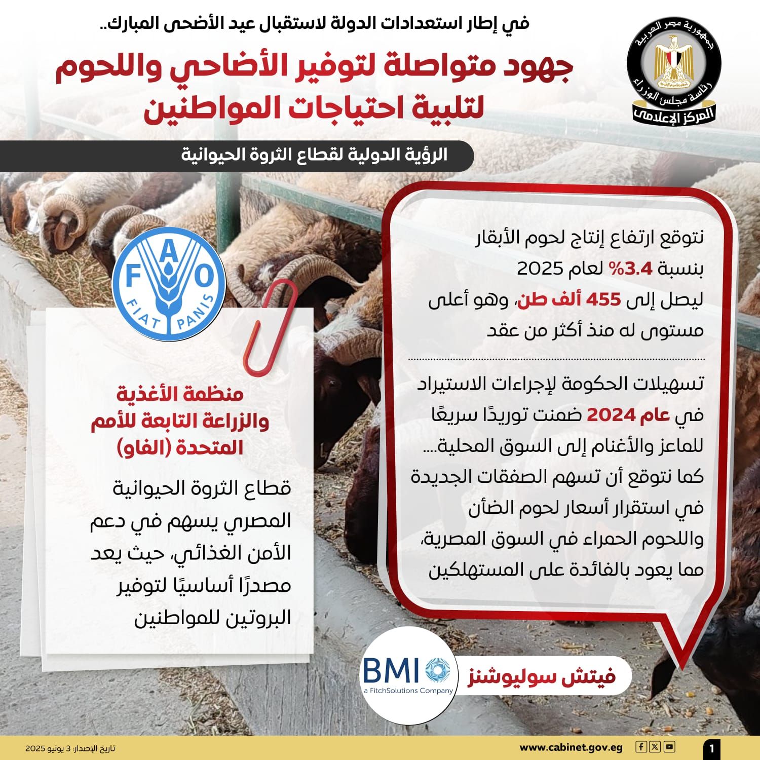 مجلس الوزراء: جهود متكاملة لتوفير الأضاحى واللحوم بأسعار مناسبة للعيد