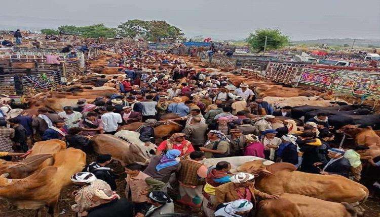 لاول مرة...جبايات على الاضاحي