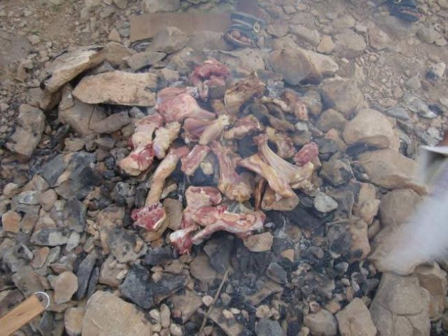 عزوف الكثير من أبناء دوعن عن قضاء يوم مزدلفة بسبب غلاء أسعار الأغنام