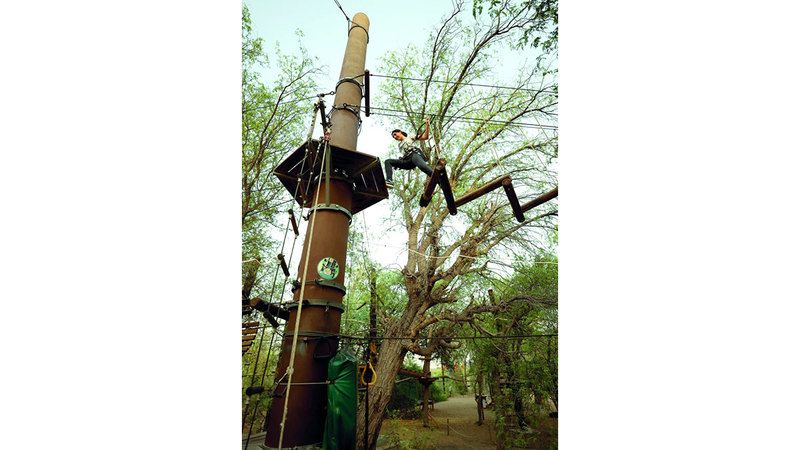 الامارات | مساحات حياة