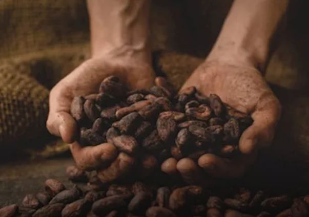 للرجال...6 فوائد جنسية للكاكاو