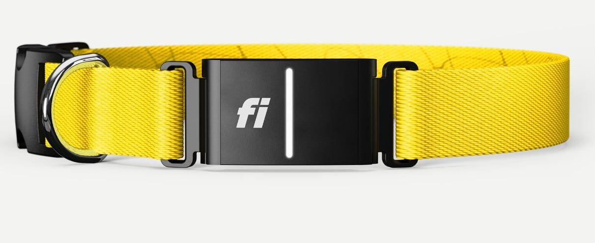 تكنولوجيا: طوق للكلاب مدعوم بـ AI يتيح مراقبة الحيوانات الأليفة عبر ساعة آبل