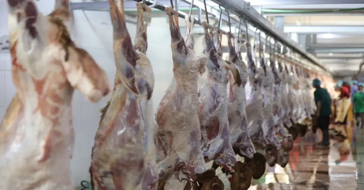 السعودية | أمانة جدة تعتمد خمس نقاط تفتيش لمنع تهريب اللحوم عبر المنافذ