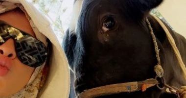 ياسمين عبد العزيز تلتقط سيلفى مع الأضحية قبل ذبحها