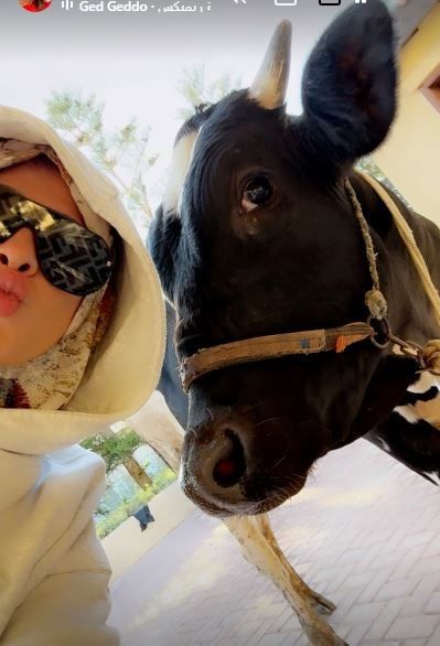 ياسمين عبد العزيز تلتقط سيلفى مع الأضحية قبل ذبحها