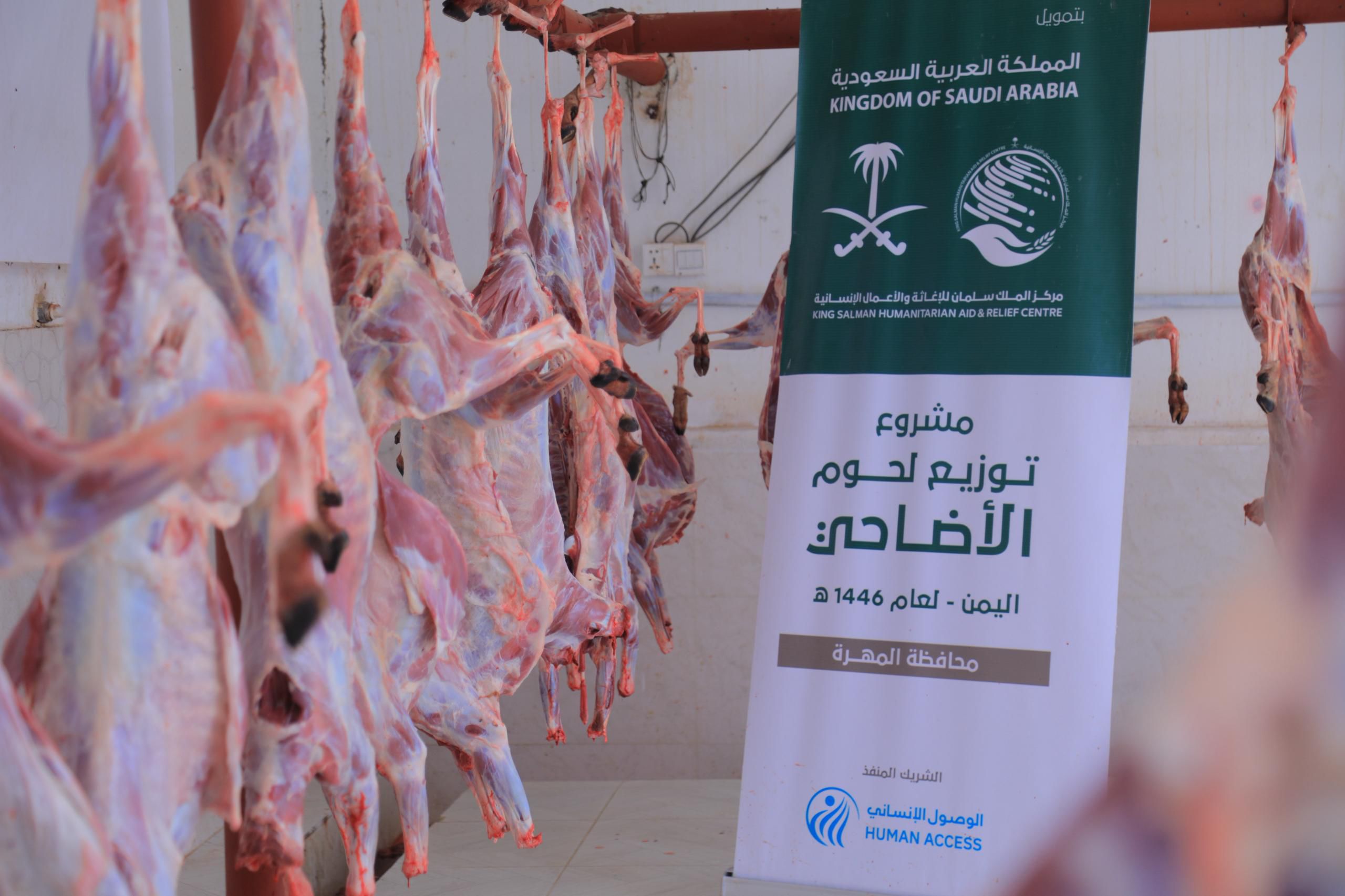 المهرة: مركز الملك سلمان للإغاثة يدشن مشروع توزيع لحوم الأضاحي لعام 1446هـ