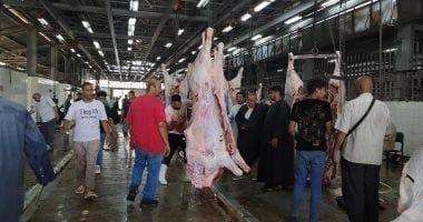 المشرف على مجزر البساتين يوضح نصائح هامة قبل تخزين اللحوم